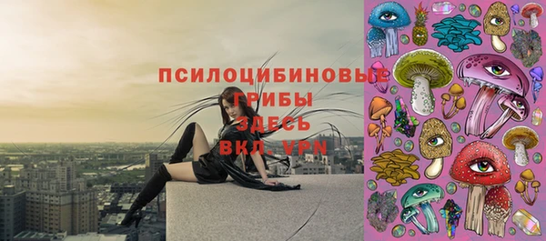 крисы Абаза