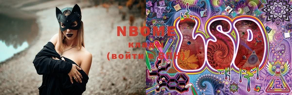 крисы Абаза