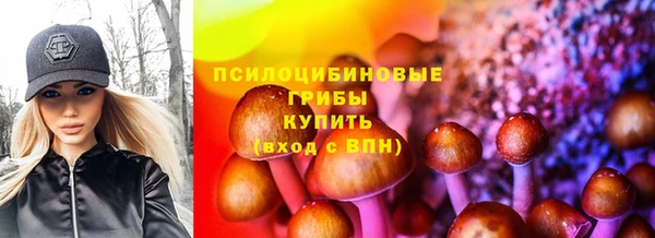 крисы Абаза