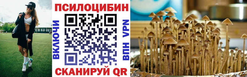 Псилоцибиновые грибы Psilocybine cubensis  Сим 